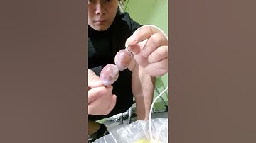 How to put temperature recorder on the Fruits