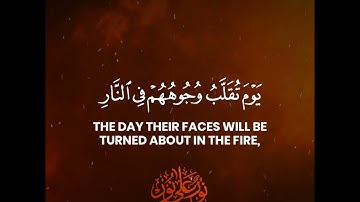"يسألك الناس عن الساعة" سورة الأحزاب SURAH AL-AHZAB #عبدالولي_الاركاني #abdulwali_alarkani