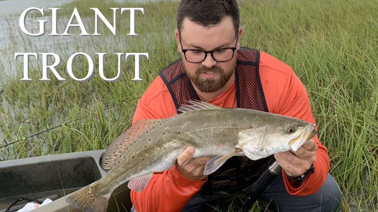 Huge Trout Kayak Fishing West Bay, Galveston YouTube