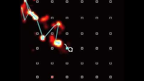 GPS in the hippocampus