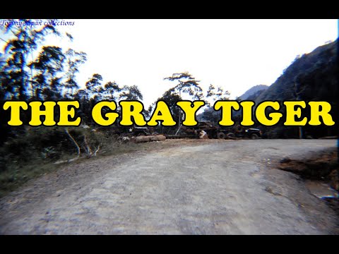 Hồi Ký Miền Nam | The Gray Tiger (CHIẾN TRANH BÊN CẠNH TÌNH YÊU 2)