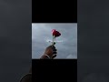 Dil Ka Thairaav (slowed + reverb)♥️