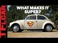 What the Heck is a SUPER Beetle? | Beetle Diaries Ep. 6