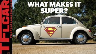 What the Heck is a SUPER Beetle? | Beetle Diaries Ep. 6