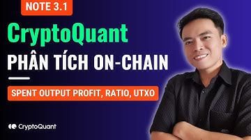 CryptoQuant NOTE 3B: Chỉ số SSR, MVRV Ratio, Realized Price, UTXO Age Bands