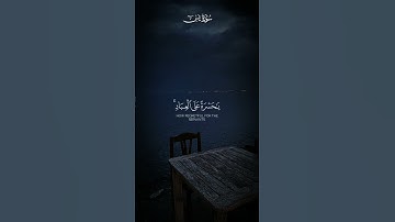 القارئ أنس شهاب .
