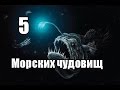 Морские чудовища - 5 обитателей морей (1часть)