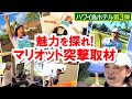 【絶景】ビーチ目の前の神ホテル!ワイコロア・マリオットの魅力5選🌴✨ハワイ島ワイコロアの人気ホテルを徹底レポート!絶景ロケーション+便利さ満点のリゾートライフをご紹介します🌈