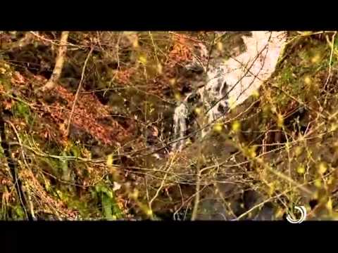 ეთნოფორი / სვანეთი / 22 04 2015