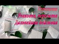 Глоксинии. Упаковка, пересылка и дальнейшие действия. 1 часть