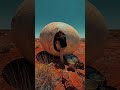 Did I Just Build a Secret Lounge Inside a Dinosaur Egg?! 😱🦖