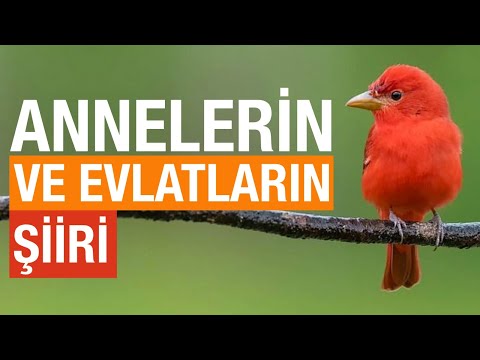 Ayrılık Şiiri - Tüm Annelerin ve Evlatların Şiiri