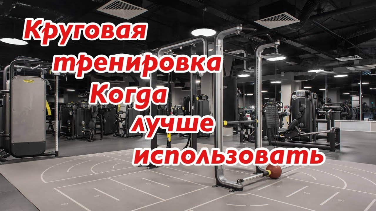 Круговая тренировка. Тренировка на все тело - YouTube
