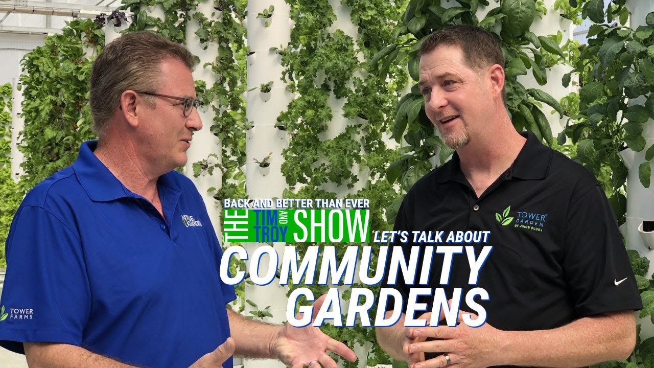Общественные сады и продовольственный кризис! Шоу Тима и Троя