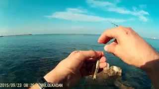 Akya ( Lichia Amia ) Avı - Shore Jigging Akya ( Lichia Amia ) Avı - Shore Jigging