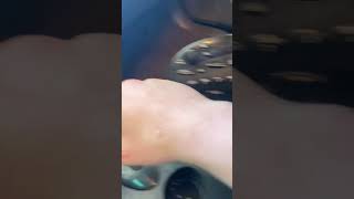 1999 Ford Taurus SE radio not displaying sound or visual.
