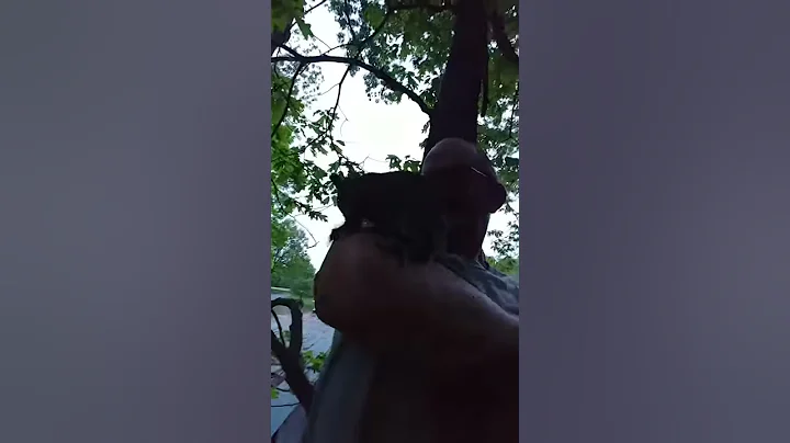 JP Madren the dough bowl maker www.doughbowlmaker.com and his squirrels