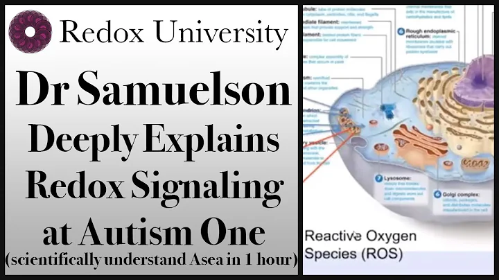 Dr Sameulson   Best Redox Signaling Explanation   ...