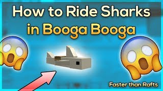 How to Ride Sharks in Booga Booga (Faster than Any Raft)