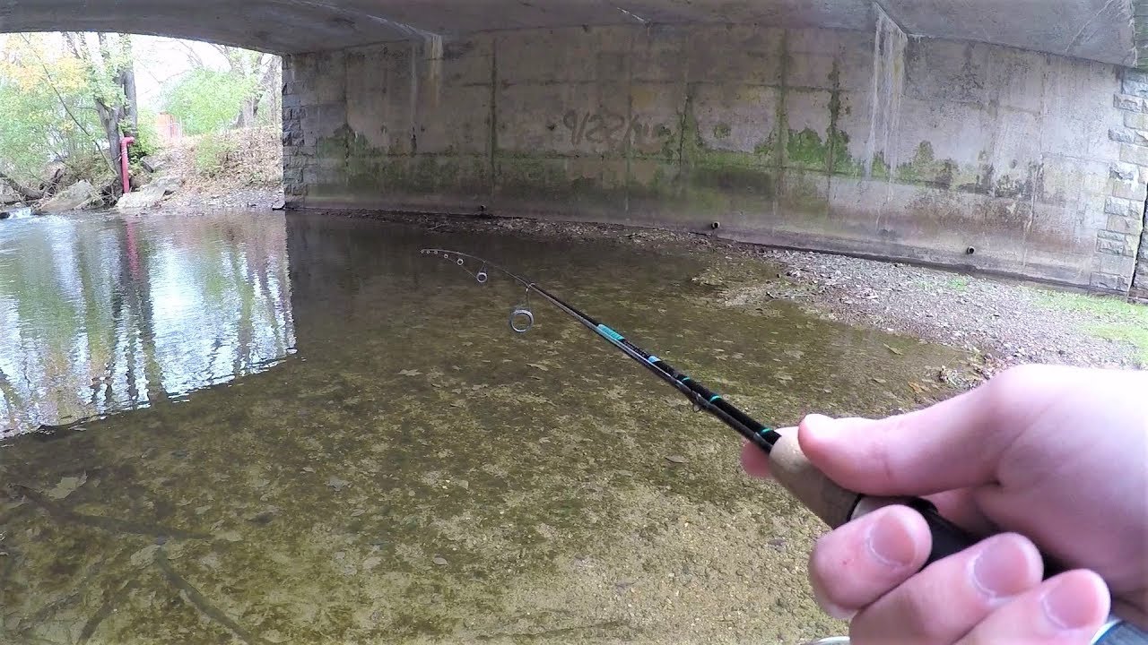 TROUT Fishing in Creeks for Rainbow & Brown Trout 