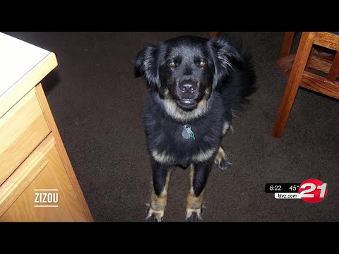 Video: Pet Scoop: Foto's van de hond Giet in op verzoek van de zieke tiener, Palin Photo veroorzaakt controverse