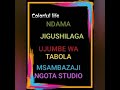 NDAMA JIGUSHILAGA UJUMBE WA NG WANA JEMSI MSAMBAZAJI NGOTA STUDIO MBEYA 2026