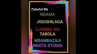 Download Lagu NDAMA JIGUSHILAGA UJUMBE WA NG'WANA JEMSI MSAMBAZAJI NGOTA STUDIO MBEYA 2026 MP3