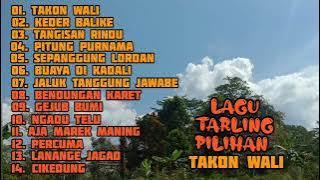 LAGU TARLING PILIHAN ||TAKON WALI ||