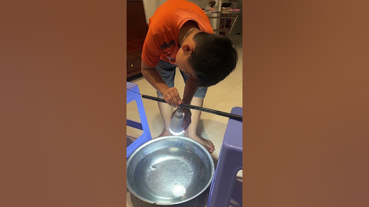 Con kiến cánh vào nhà báo hiệu sắp vào mùa mưa #shorts