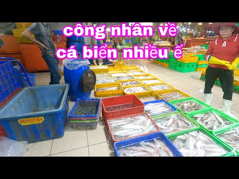 Chợ vô nước