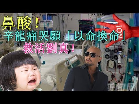 鼻酸！辛龍痛哭願「以命換命」救活劉真！醫揭存活率 劉真聽到4歲愛女呼喚「有意識了」
