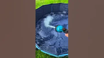 Бассейн для Капского Варана Кими
