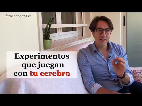 Experimentos que juegan con tu cerebro
