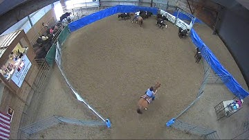 Big Sky Ranch Sorting Saddle Series #5 - #3 - Round #2 - Ride #3