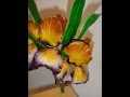 цветы из сахарной мастики.  ирис  (2 часть) .Gumpaste flowers. Making a Gumpaste Iris (II)