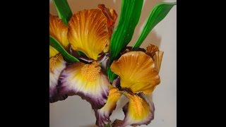 цветы из сахарной мастики. ирис (2 часть) .Gumpaste flowers. Making a Gumpaste Iris (II) цветы из сахарной мастики. ирис (2 часть) .Gumpaste flowers. Making a Gumpaste Iris (II)