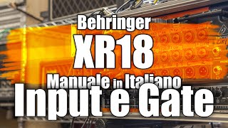 XR18 Manual - Input and Gate