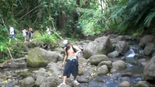Maunawili Falls hike 7