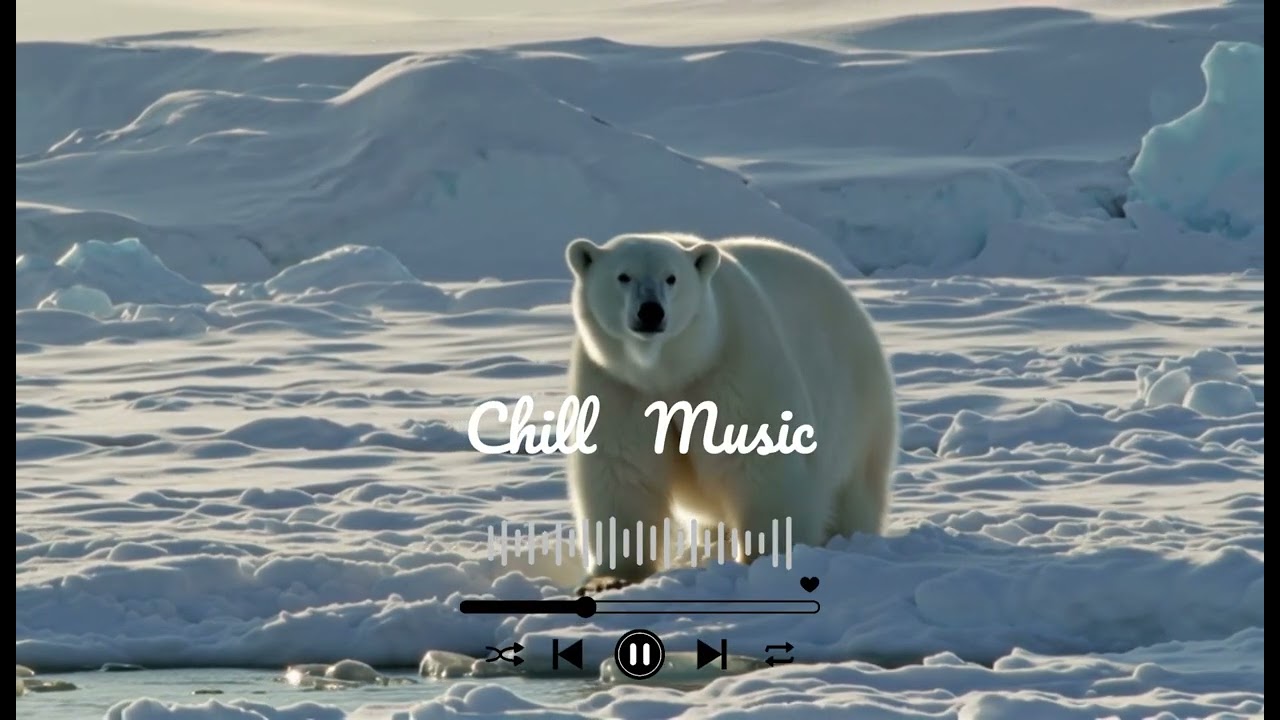 Chill Music 