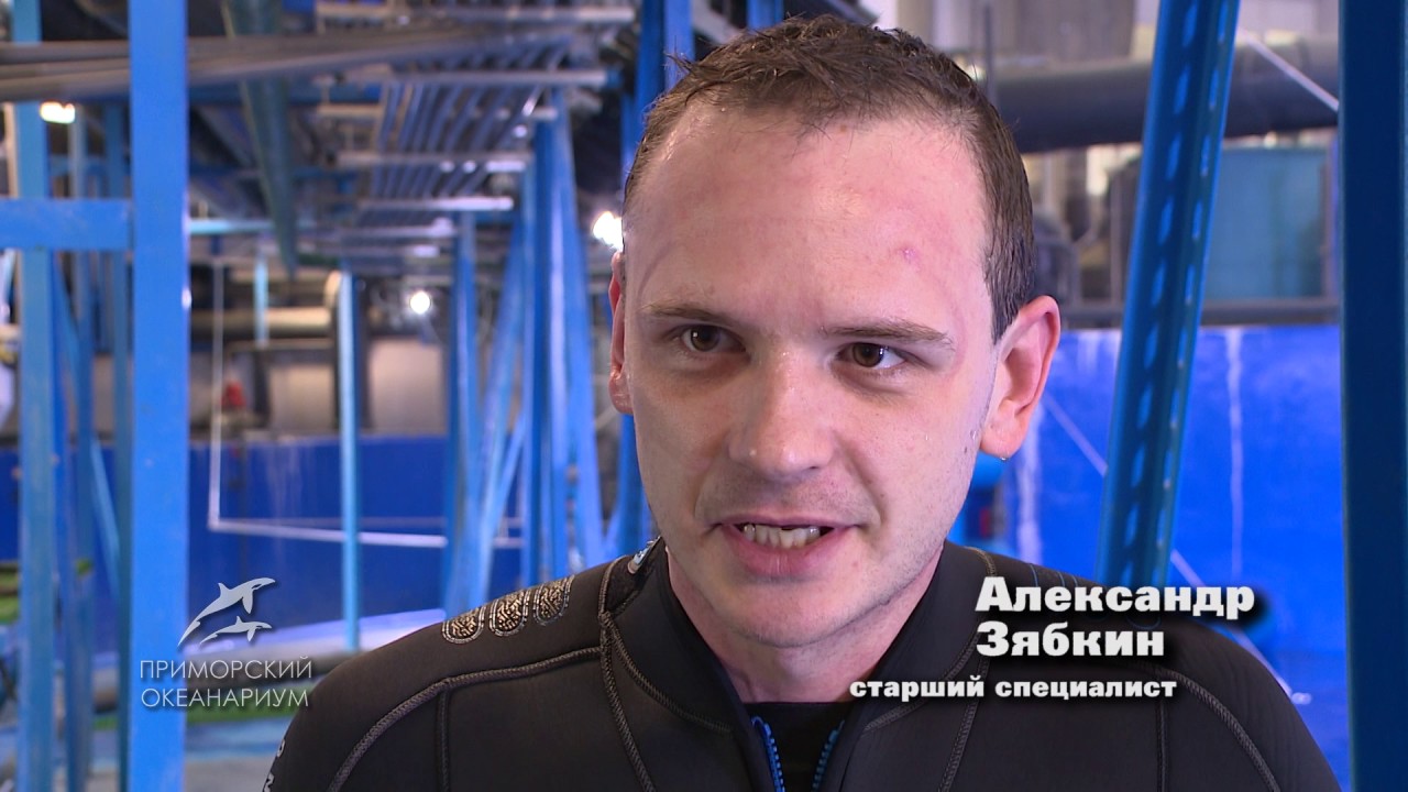 Путешествие в мир скатов Приморского океанариума