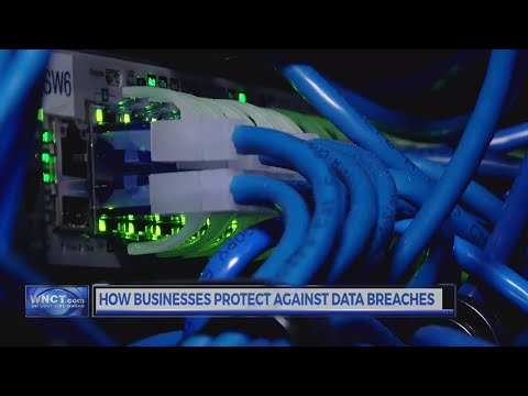 Mativip Data Breach: What You Need To Know