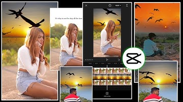 1 Click & Sky Bird Fly Effect || Sky Change Video Editing in Capcut | Capcut Video Editing