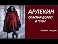 АРЛЕКИН опасная дорога № 2984