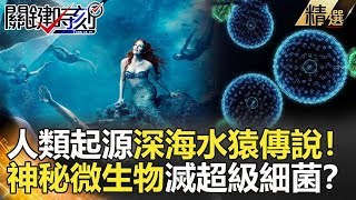 關鍵時刻精選│人類起源深海水猿傳說！神秘微生物滅超級細菌？-黃創夏 劉燦榮 眭澔平 陳耀寬