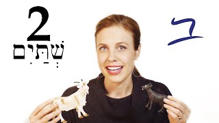 Hebrew - Plural Nouns & Adjectives - Free Biblical Hebrew - Lesson 2 screenshot 5