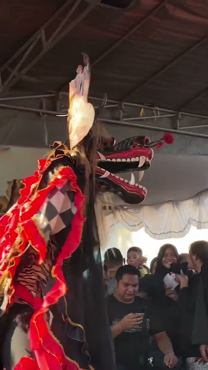Perang Raja Barong Turonggo Pratiwi Putro #barongan #jaranan #storywa