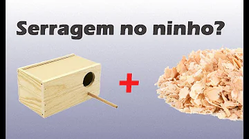 O que colocar dentro do ninho do periquito-australiano?