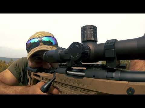 Rifle Bergara B14 BMP .308 Win - Jabalí a 400m | Wildboar at 440 yds