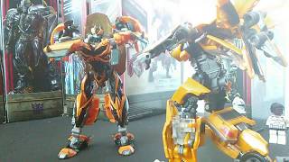 SS Bumblebee V.S. AoE Bumblebee