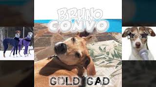 Gold Gad-Bruno Convo